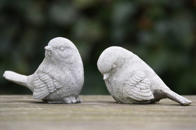 birds-276191_960_720 geen contact